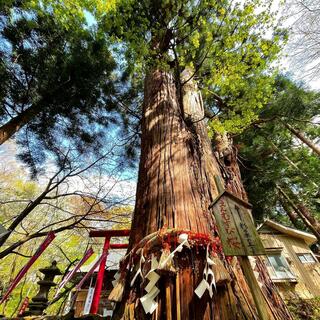 磐椅神社のクチコミ写真2