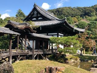 鷲峰山高台寺のクチコミ写真2