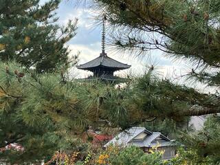 鷲峰山高台寺のクチコミ写真4