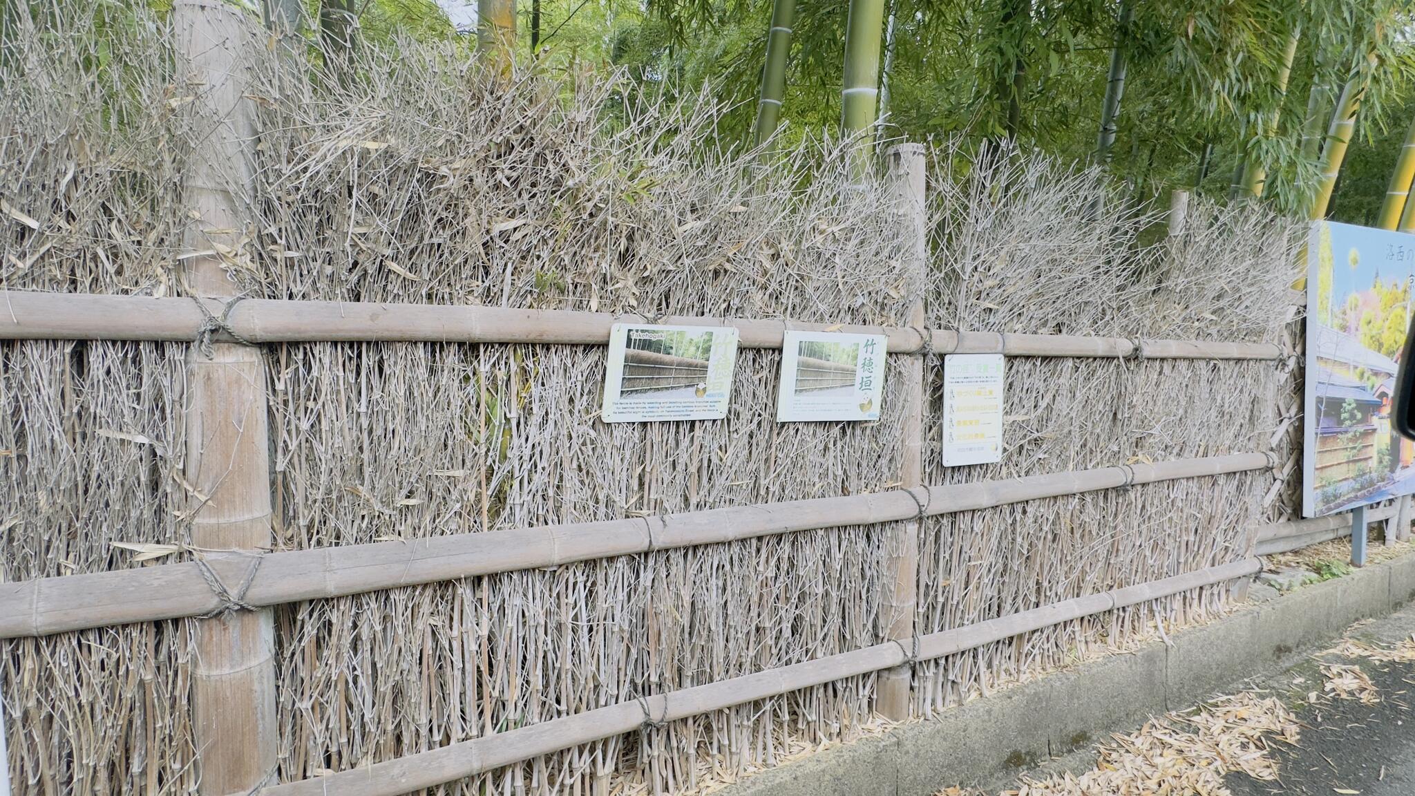 竹の径の代表写真9