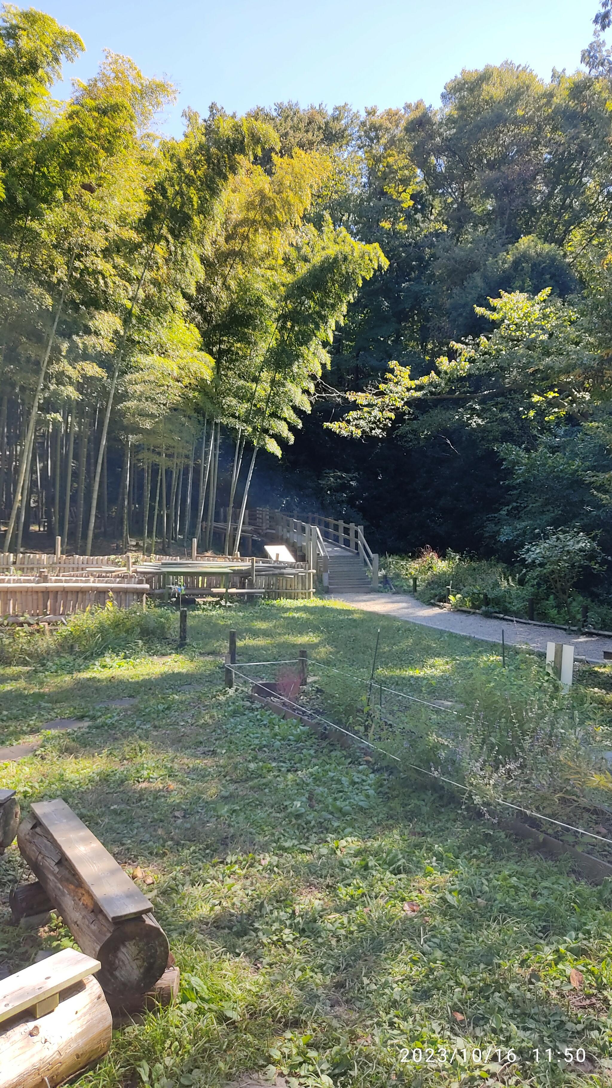 天王森泉公園の代表写真6