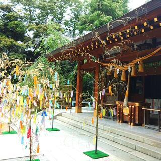 新田神社の写真22