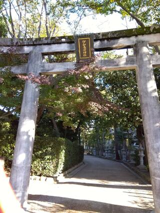 伊和志津神社のクチコミ写真2