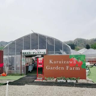 軽井沢ガーデンファーム いちご園のクチコミ写真1