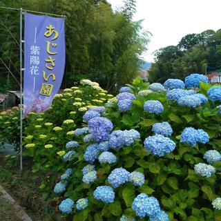 天拝山歴史自然公園の写真21