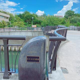 なかめ公園橋の写真12