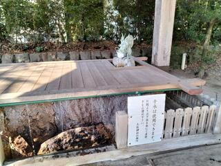 土佐神社のクチコミ写真9