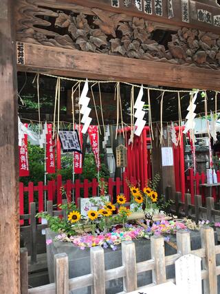 下谷神社のクチコミ写真4