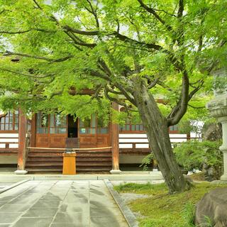能成寺の写真5