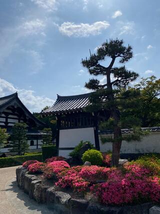 東福寺のクチコミ写真2