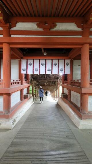 吉備津神社のクチコミ写真3