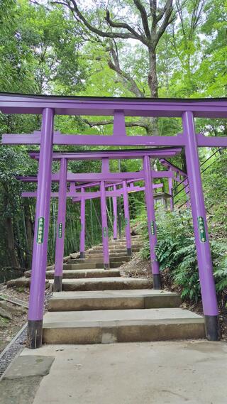足利織姫神社のクチコミ写真8