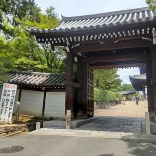 東福寺のクチコミ写真6