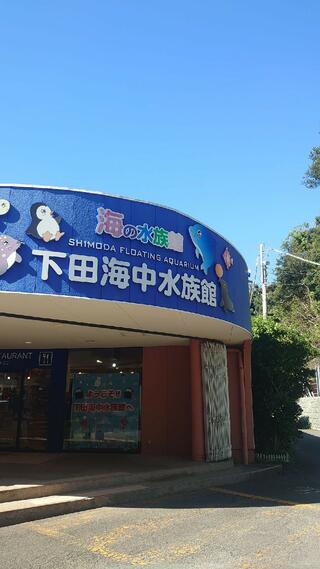 下田海中水族館のクチコミ写真4