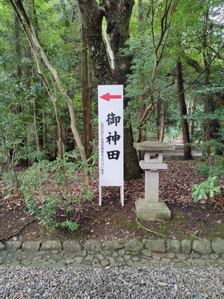 猿田彦神社のクチコミ写真6
