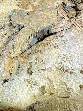 大滝鍾乳洞のクチコミ写真3