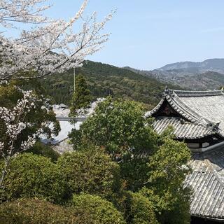 三井寺展望台の写真5