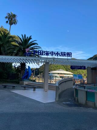 下田海中水族館のクチコミ写真1