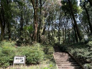 群馬県立公園アイ・ディー・エー群馬の森のクチコミ写真10