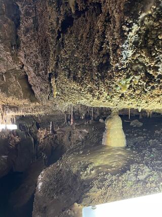 大滝鍾乳洞のクチコミ写真6