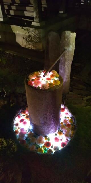 行田八幡神社のクチコミ写真5