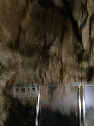飛騨大鍾乳洞のクチコミ写真8