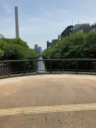なかめ公園橋のクチコミ写真2