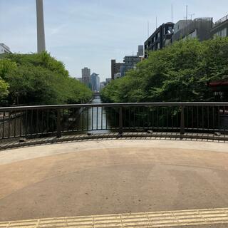 なかめ公園橋の写真19