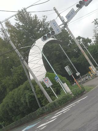 三橋総合公園のクチコミ写真1
