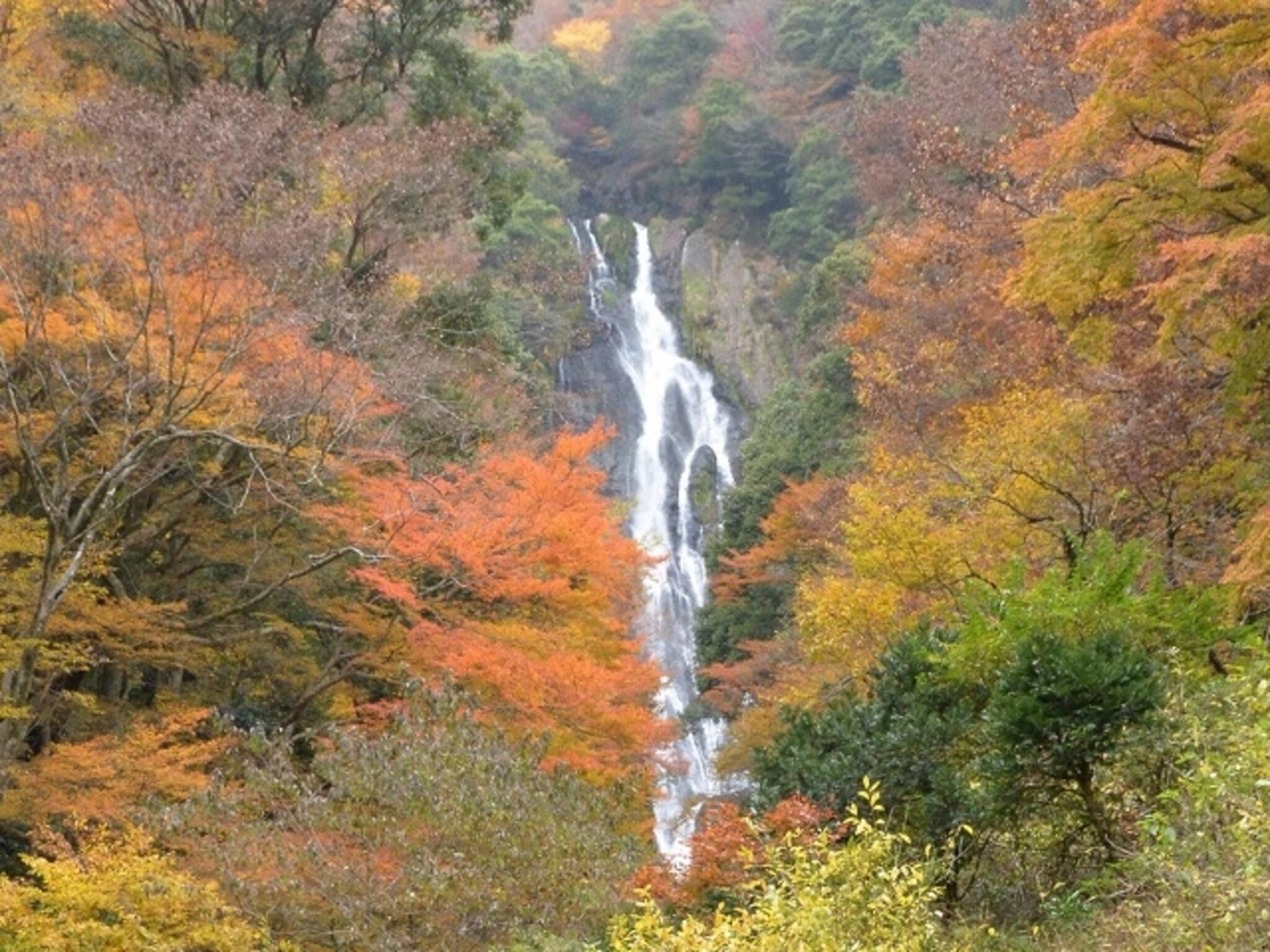 神庭の滝自然公園の代表写真9