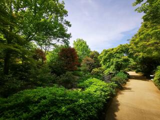 大仙公園日本庭園のクチコミ写真7