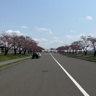 戸田記念墓地公園の写真26