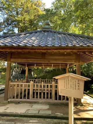 金澤神社のクチコミ写真3