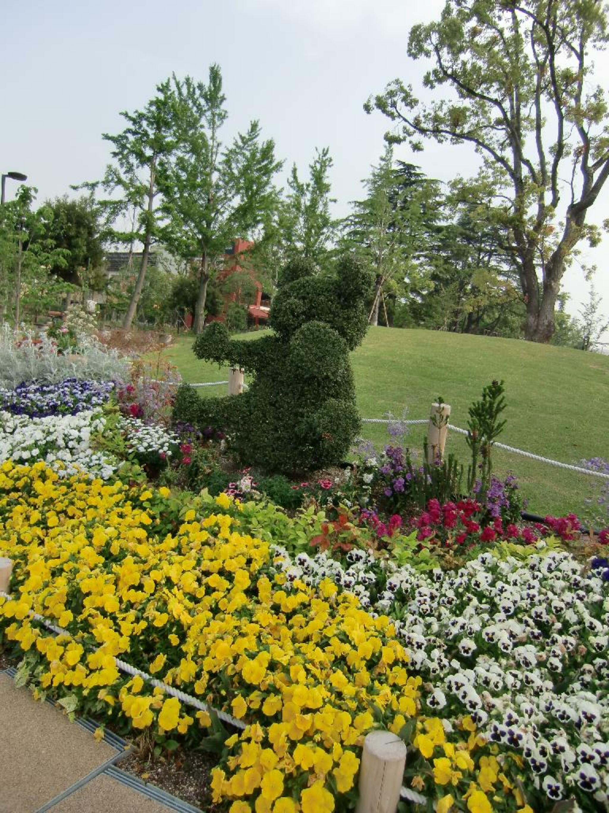 倉敷みらい公園 のびのびコーナーの代表写真2