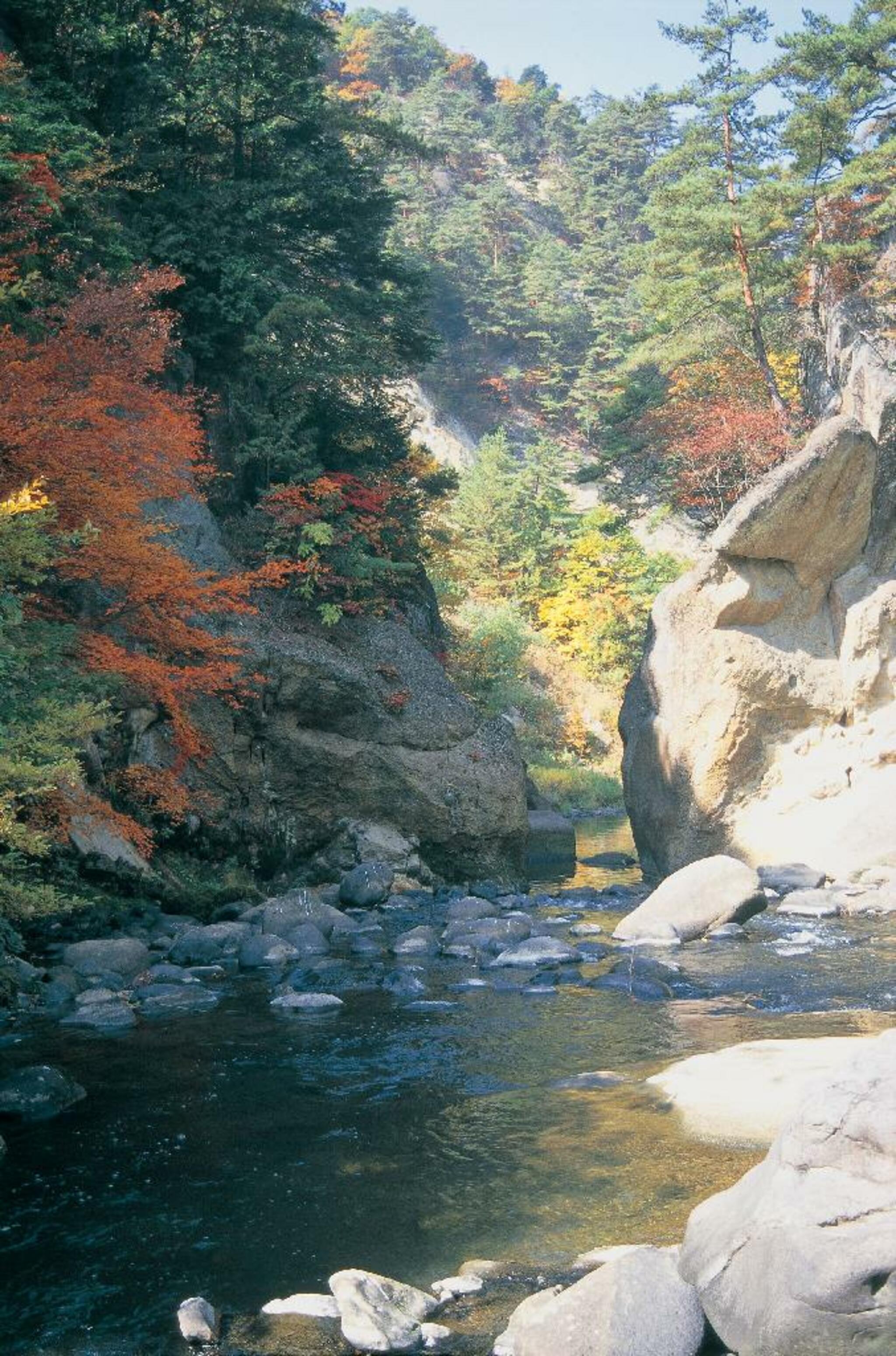 県立自然公園 差切峡の代表写真1