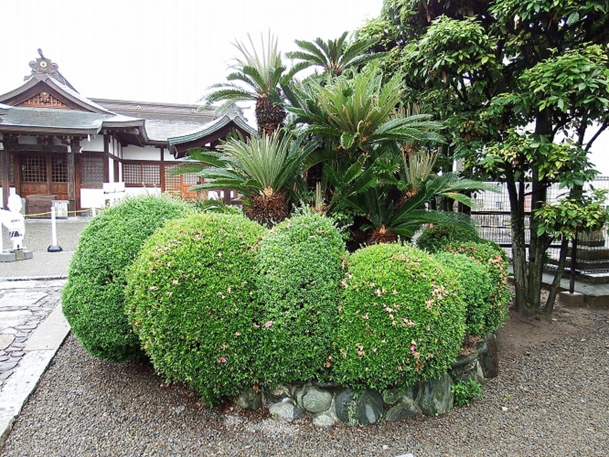 宝寿寺四国第62番霊場の代表写真5