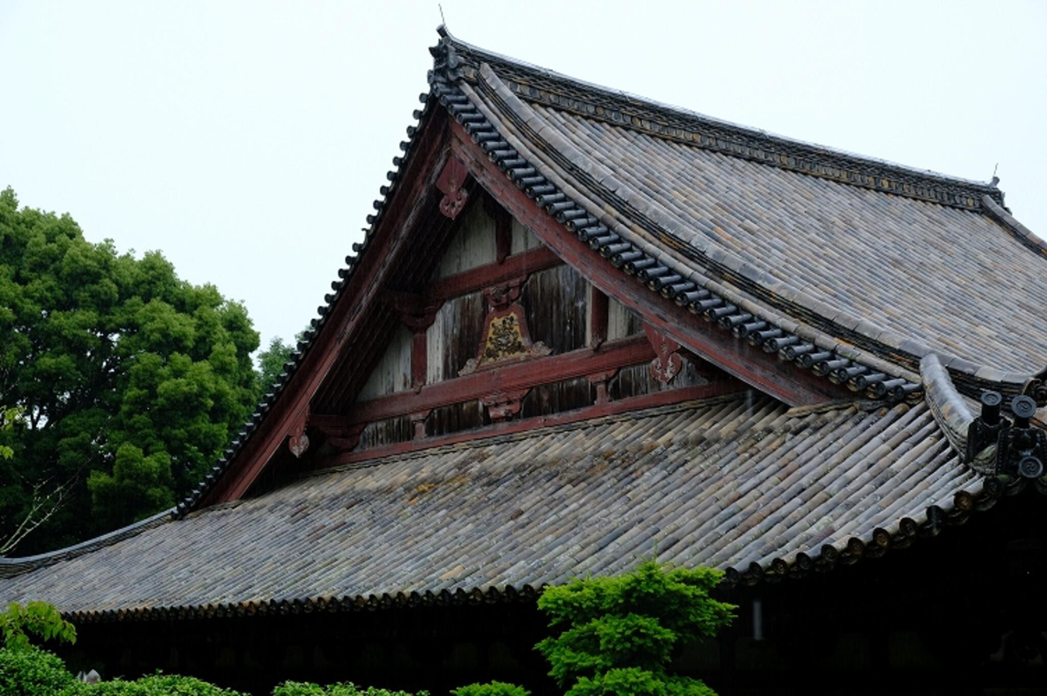 太山寺の代表写真1