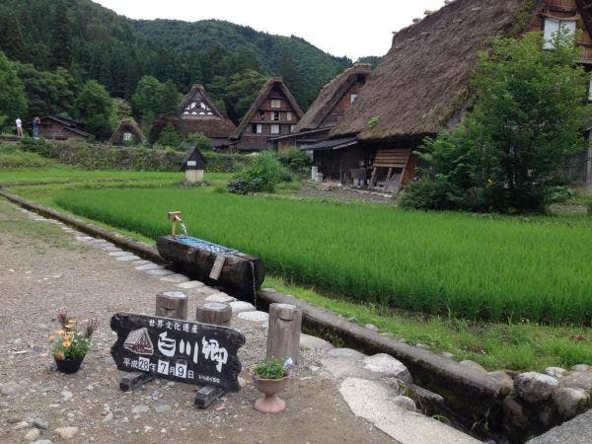 お食事処 忠兵衛の代表写真3