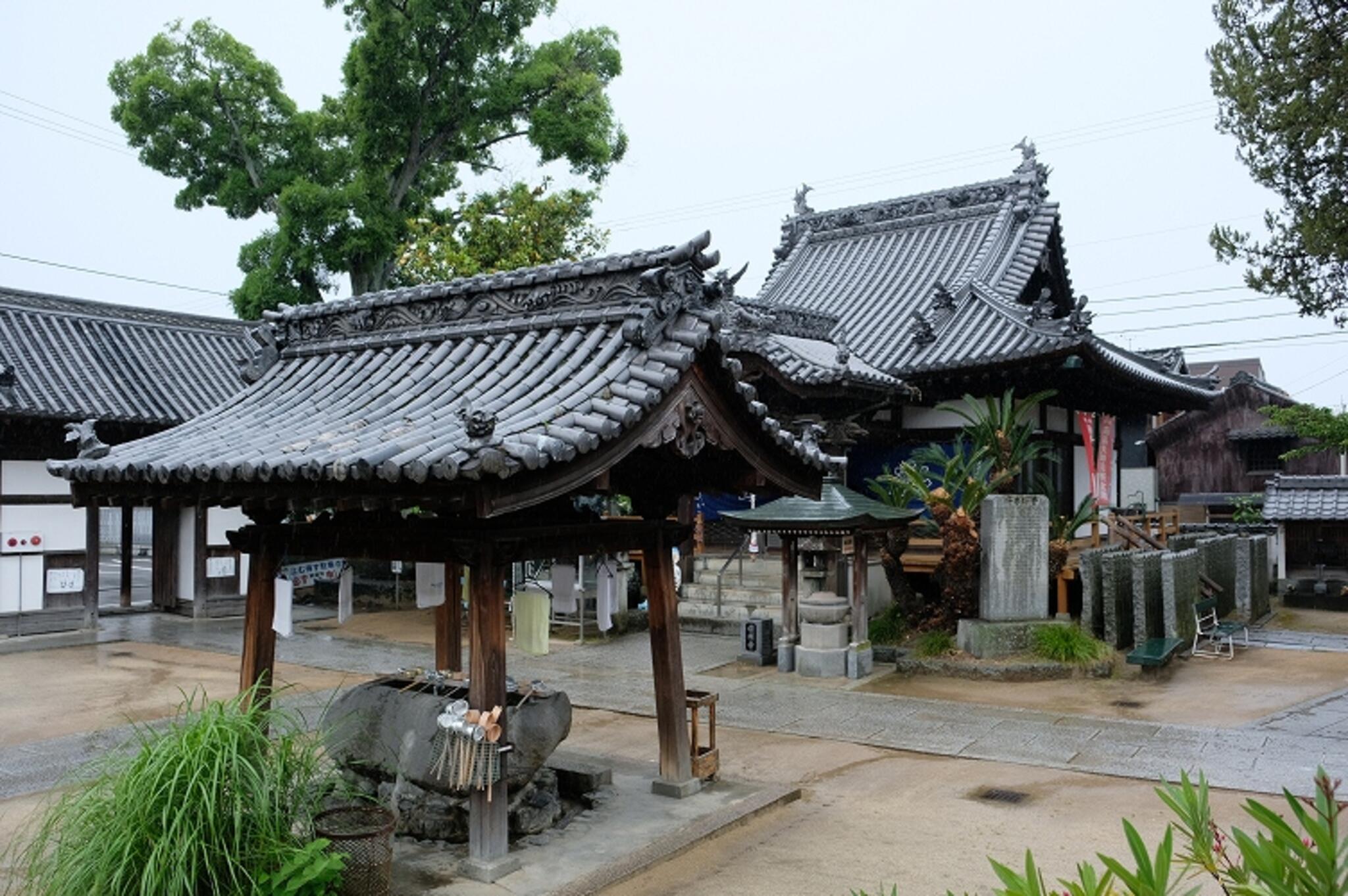 須賀山圓明寺の代表写真3