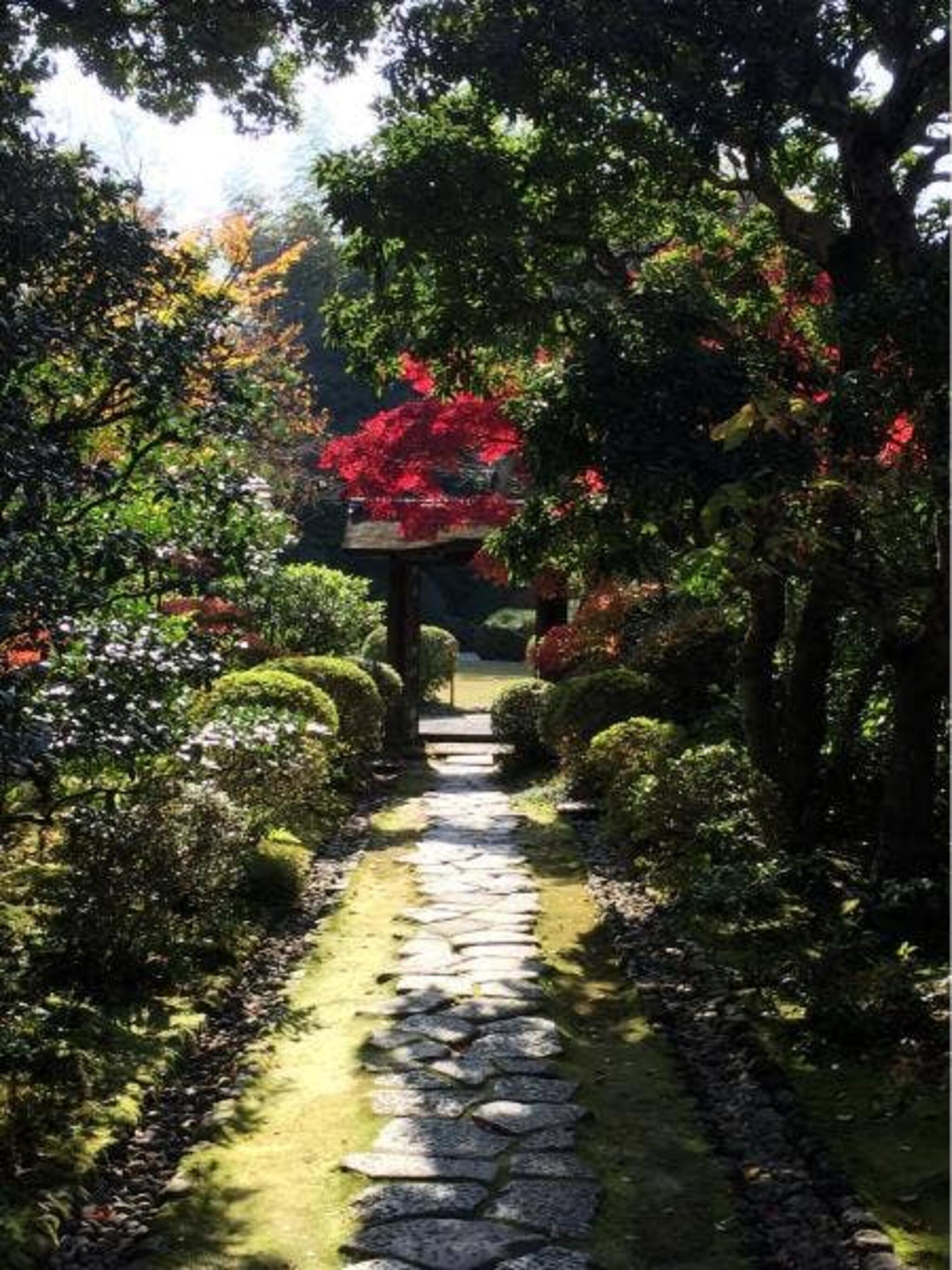 日本庭園 有楽苑 弘庵の代表写真7