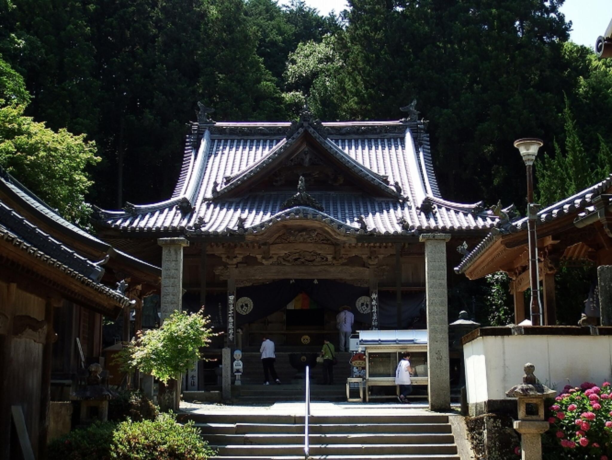 藤井寺の代表写真3