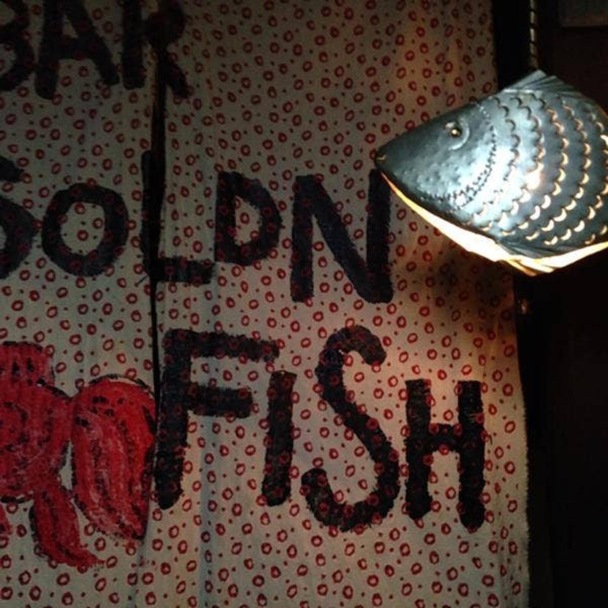ゴールデンフィッシュ 金魚の代表写真3