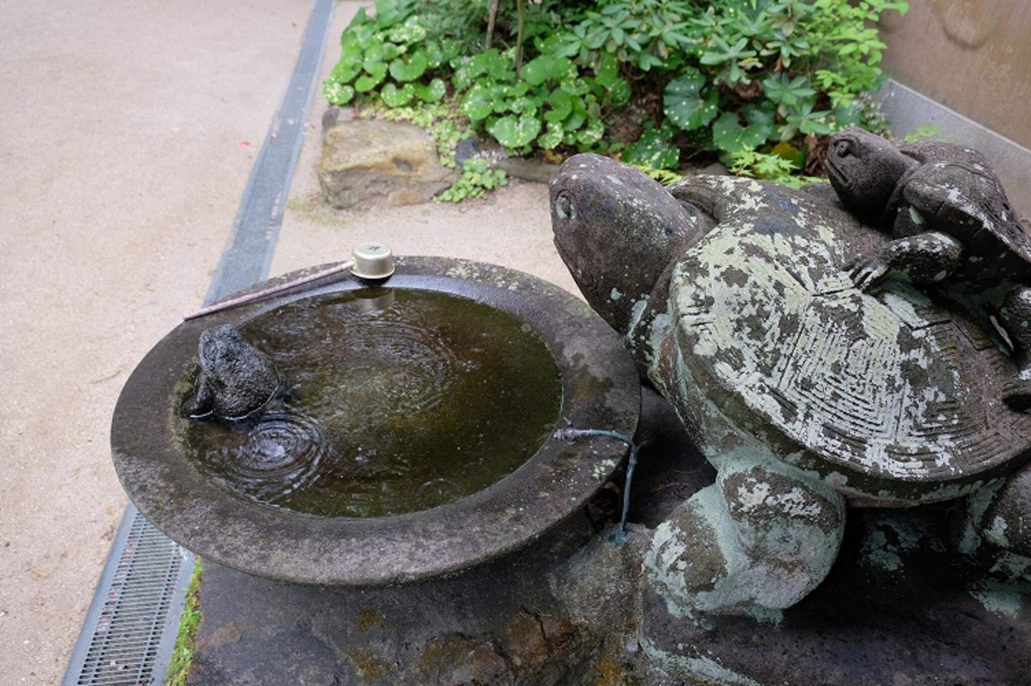 医王山浄瑠璃寺の代表写真8