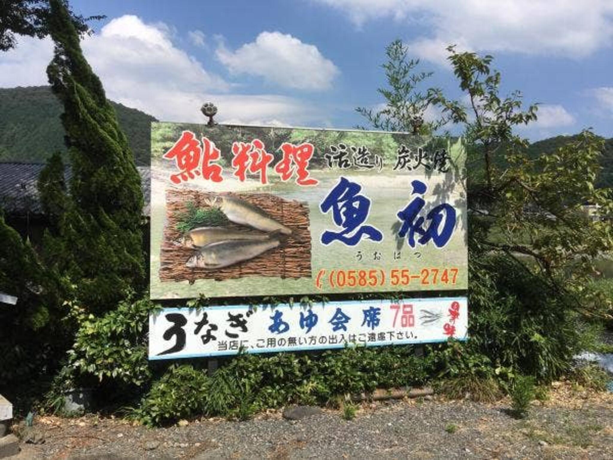 魚初(根尾川)の代表写真7