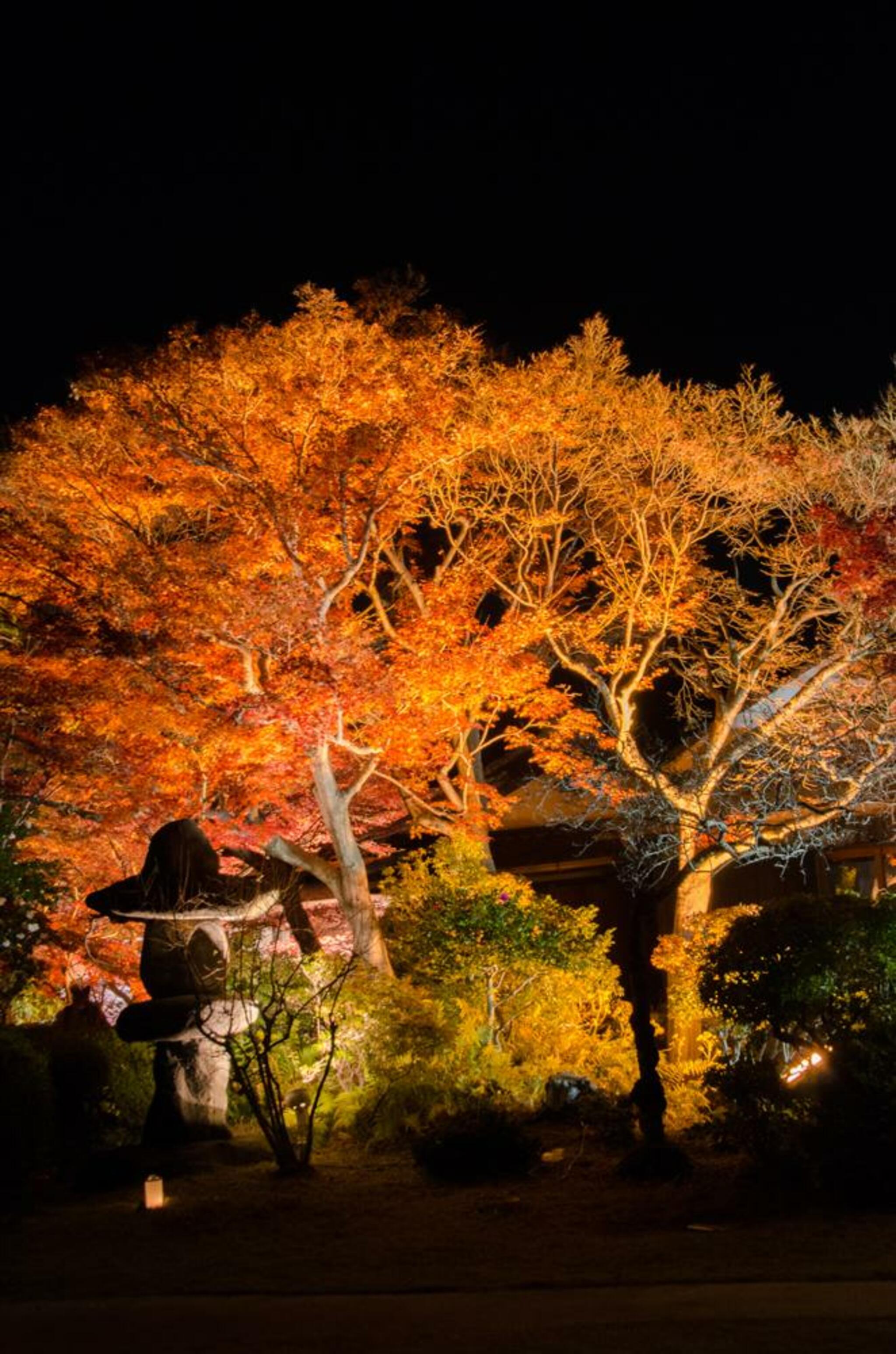 神戸市立須磨離宮公園の代表写真9