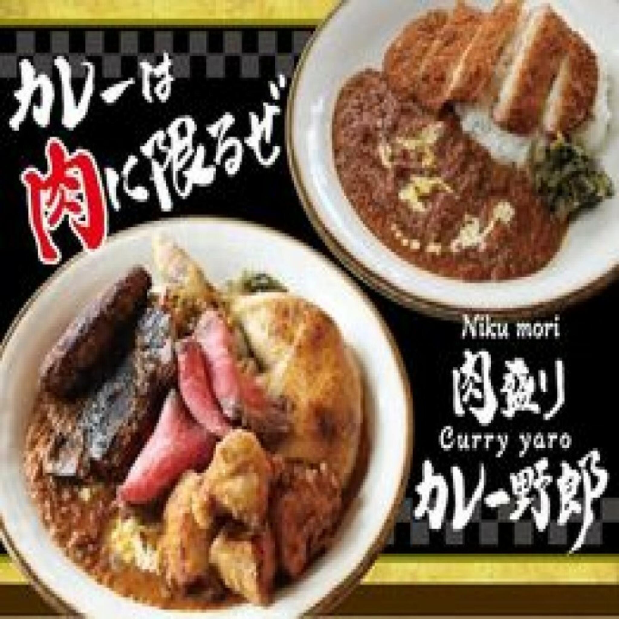 肉盛りカレー野郎の代表写真1