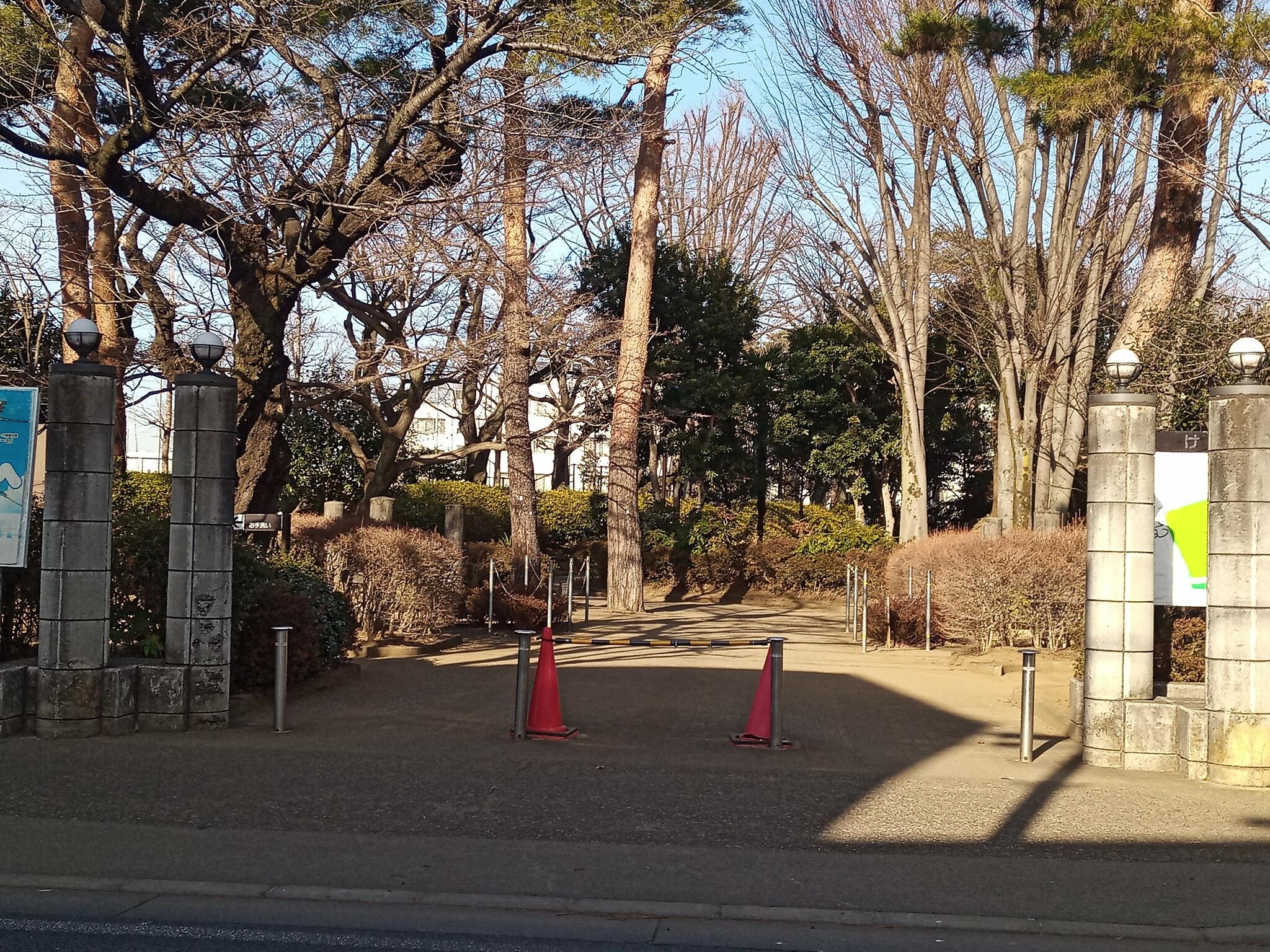 けやき公園の代表写真8