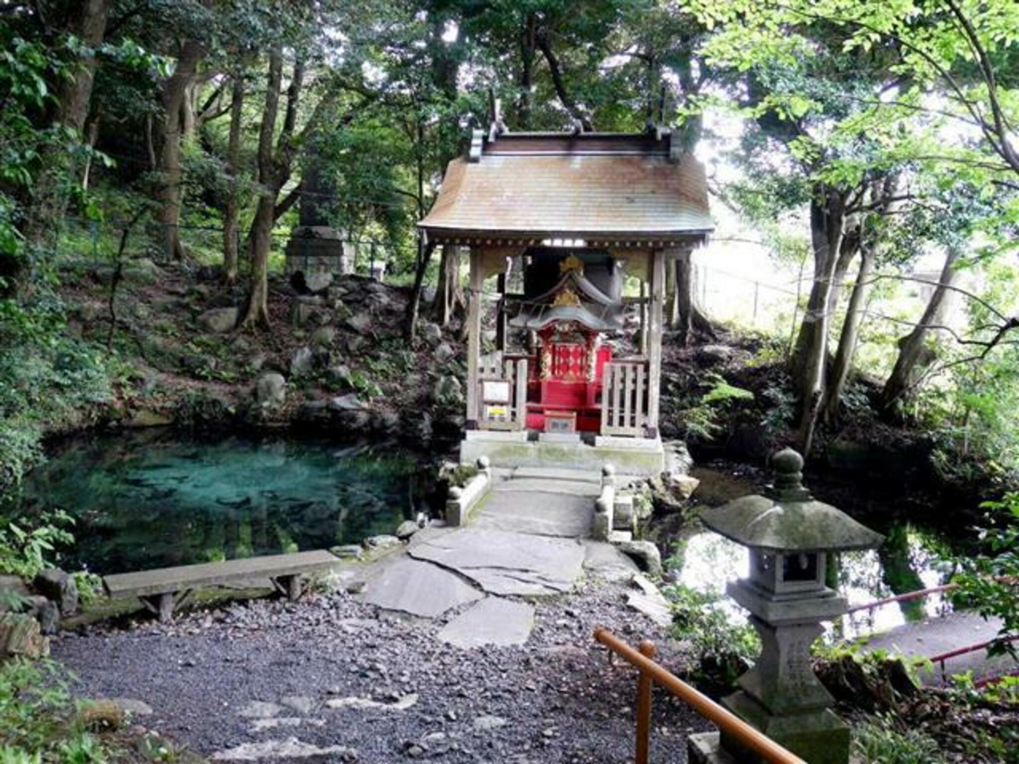 泉神社の代表写真7