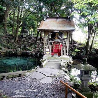 泉神社の写真27