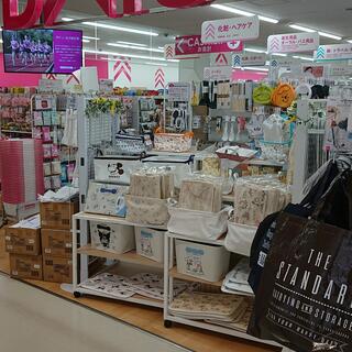DAISO アルカキット錦糸町店の写真15